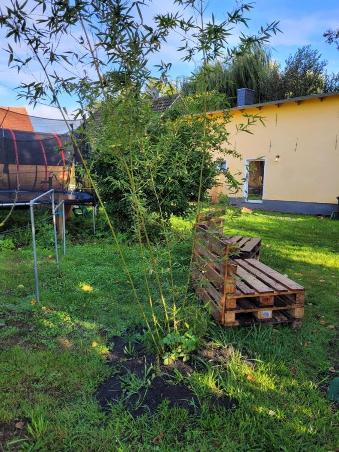 Haus Evelynchen Apartment 1 Deutschhof Fehrbellin Εξωτερικό φωτογραφία